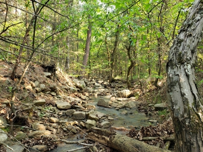 Land For Sale In Southwestern, Arkansas - image 29