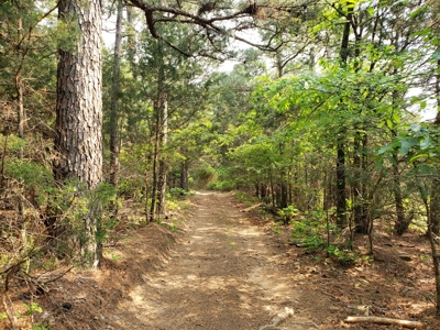Land For Sale In Southwestern, Arkansas - image 23