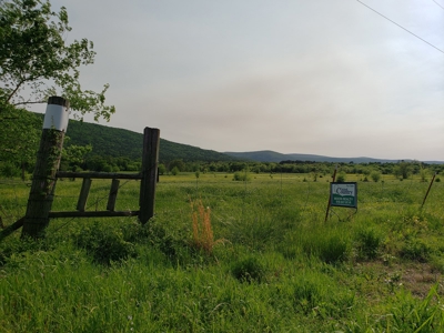 Land For Sale In Southwestern, Arkansas - image 5