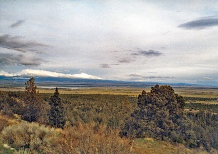 Northern California Property in Modoc Recreational Estates - image 3