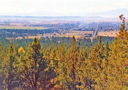 Northern California Property in Modoc Recreational Estates - image 4