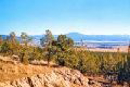 Northern California Property in Modoc Recreational Estates - image 1