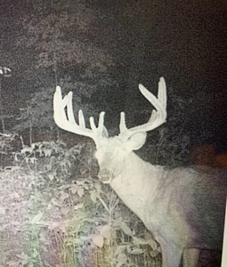 174.7 acres near Middleton, MO with tillable and hunting - image 24