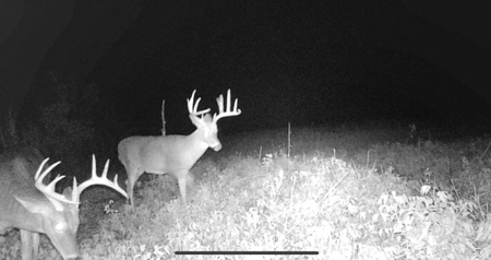 174.7 acres near Middleton, MO with tillable and hunting - image 28