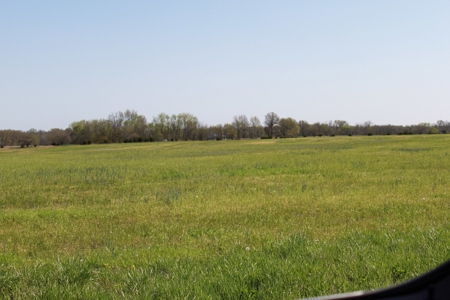 174.7 acres near Middleton, MO with tillable and hunting - image 4
