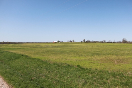 174.7 acres near Middleton, MO with tillable and hunting - image 3