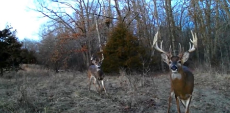 174.7 acres near Middleton, MO with tillable and hunting - image 26