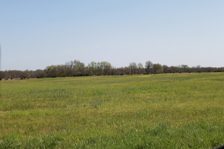 174.7 acres near Middleton, MO with tillable and hunting - image 5