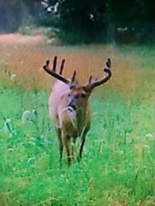 174.7 acres near Middleton, MO with tillable and hunting - image 30