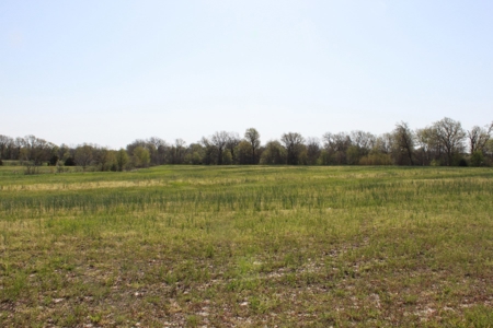 174.7 acres near Middleton, MO with tillable and hunting - image 23