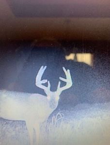 174.7 acres near Middleton, MO with tillable and hunting - image 32