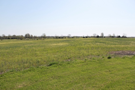 174.7 acres near Middleton, MO with tillable and hunting - image 18