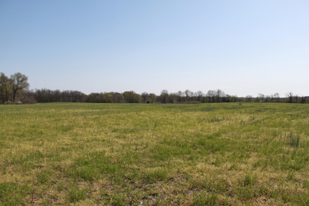 174.7 acres near Middleton, MO with tillable and hunting - image 21