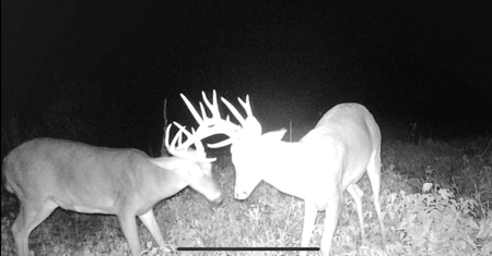 174.7 acres near Middleton, MO with tillable and hunting - image 31