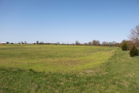 174.7 acres near Middleton, MO with tillable and hunting - image 2