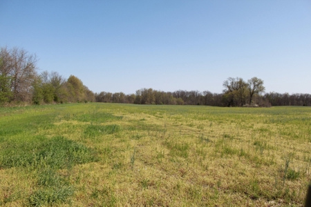 174.7 acres near Middleton, MO with tillable and hunting - image 20