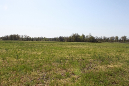 174.7 acres near Middleton, MO with tillable and hunting - image 22