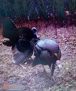 174.7 acres near Middleton, MO with tillable and hunting - image 27