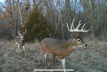 174.7 acres near Middleton, MO with tillable and hunting - image 25