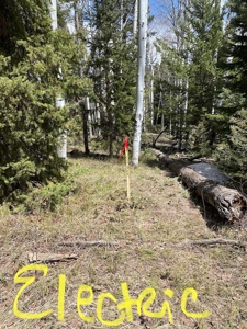 Mountain RV Lot for sale in Western Colorado - image 3