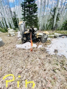 Mountain RV Lot for sale in Western Colorado - image 5