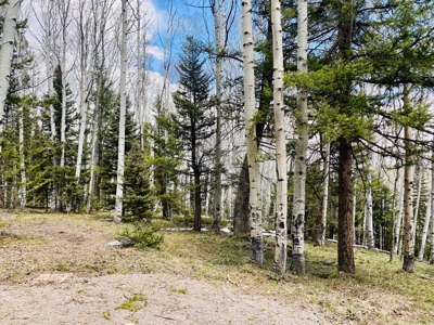 Mountain RV Lot for sale in Western Colorado - image 6