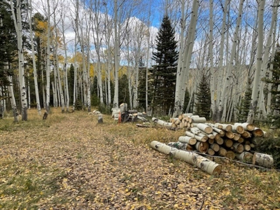 Mountain RV Lot for sale in Western Colorado - image 7