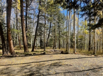 Mountain RV Lot for sale in Western Colorado - image 1