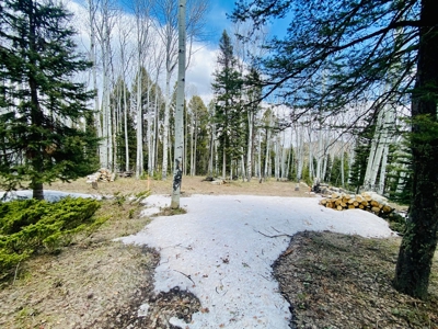 Mountain RV Lot for sale in Western Colorado - image 2