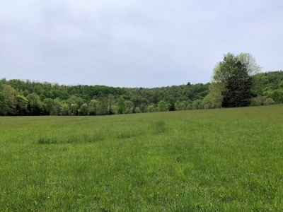 Central Kentucky Farm - Pasture & Woodland - Bethelridge, Ky - image 12