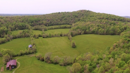 Central Kentucky Farm - Pasture & Woodland - Bethelridge, Ky - image 5