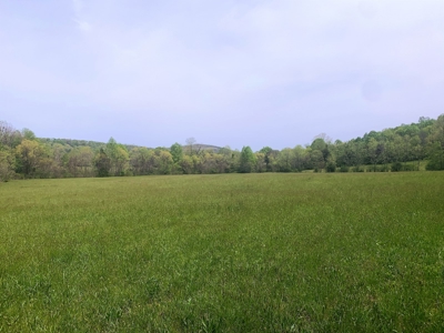 Central Kentucky Farm - Pasture & Woodland - Bethelridge, Ky - image 23