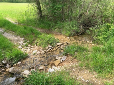 Central Kentucky Farm - Pasture & Woodland - Bethelridge, Ky - image 19