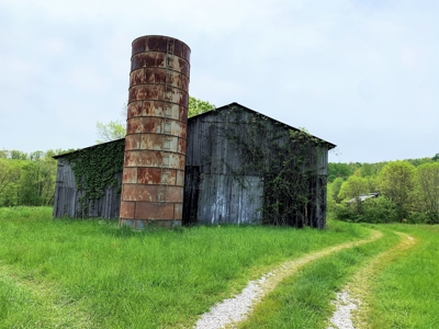 Central Kentucky Farm - Pasture & Woodland - Bethelridge, Ky - image 9