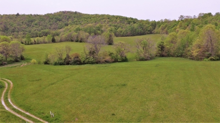 Central Kentucky Farm - Pasture & Woodland - Bethelridge, Ky - image 1