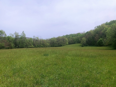 Central Kentucky Farm - Pasture & Woodland - Bethelridge, Ky - image 27