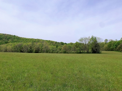 Central Kentucky Farm - Pasture & Woodland - Bethelridge, Ky - image 10
