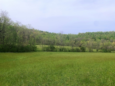 Central Kentucky Farm - Pasture & Woodland - Bethelridge, Ky - image 29