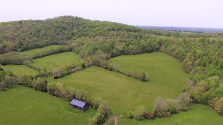 Central Kentucky Farm - Pasture & Woodland - Bethelridge, Ky - image 4