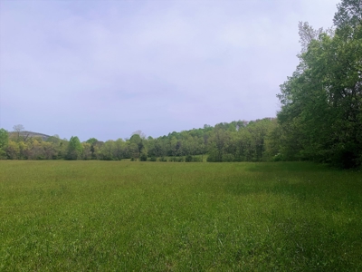 Central Kentucky Farm - Pasture & Woodland - Bethelridge, Ky - image 24