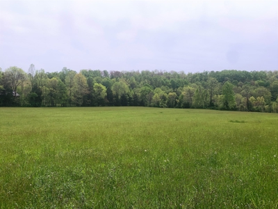 Central Kentucky Farm - Pasture & Woodland - Bethelridge, Ky - image 18