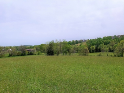 Central Kentucky Farm - Pasture & Woodland - Bethelridge, Ky - image 15