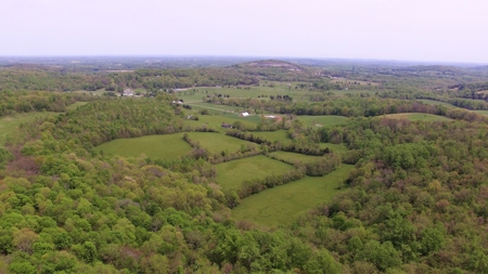 Central Kentucky Farm - Pasture & Woodland - Bethelridge, Ky - image 7