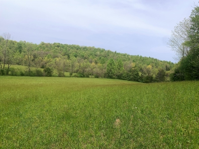 Central Kentucky Farm - Pasture & Woodland - Bethelridge, Ky - image 28