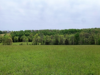 Central Kentucky Farm - Pasture & Woodland - Bethelridge, Ky - image 14