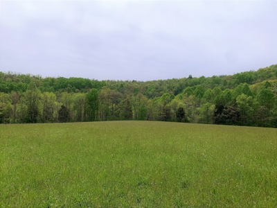 Central Kentucky Farm - Pasture & Woodland - Bethelridge, Ky - image 13