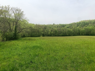 Central Kentucky Farm - Pasture & Woodland - Bethelridge, Ky - image 22