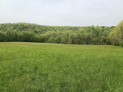 Central Kentucky Farm - Pasture & Woodland - Bethelridge, Ky - image 21