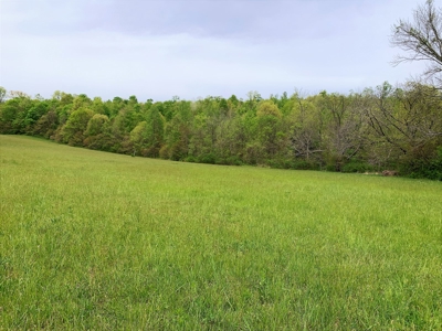 Central Kentucky Farm - Pasture & Woodland - Bethelridge, Ky - image 11
