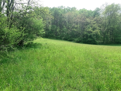Central Kentucky Farm - Pasture & Woodland - Bethelridge, Ky - image 26